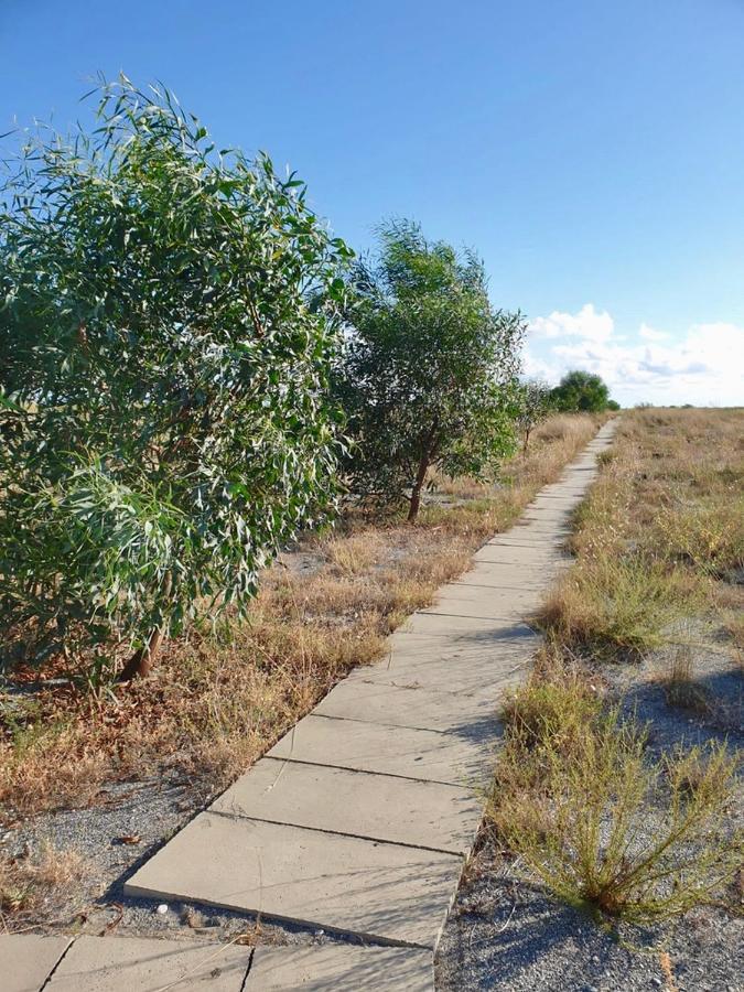 Vista Mare Su Tre Piani Con Giardino Villa Фалерна Екстериор снимка